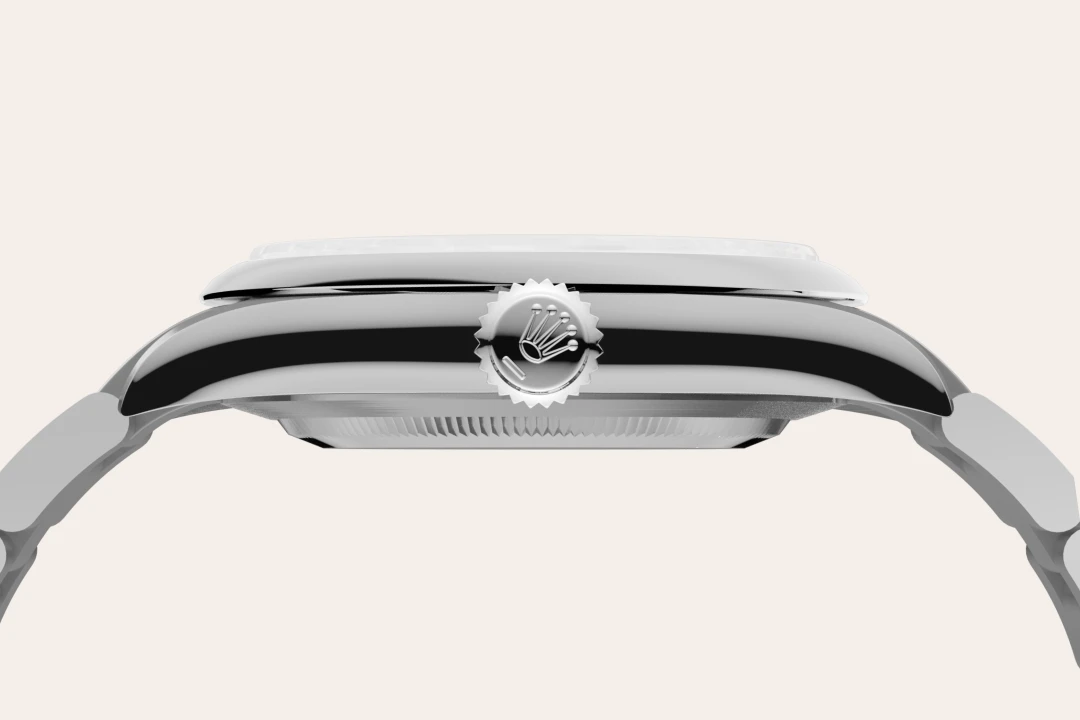 Rolex Oyster Perpetual m134300-0006 material