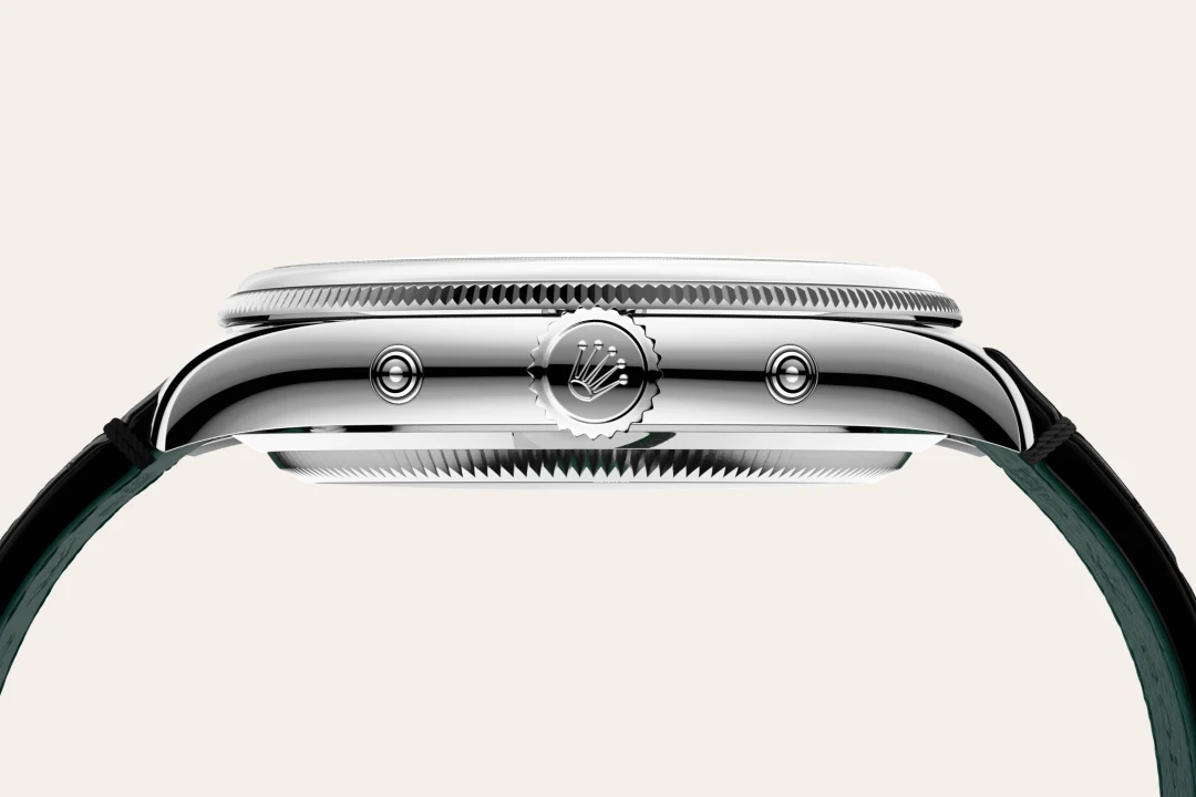 Rolex Padellone m53506-0002 material