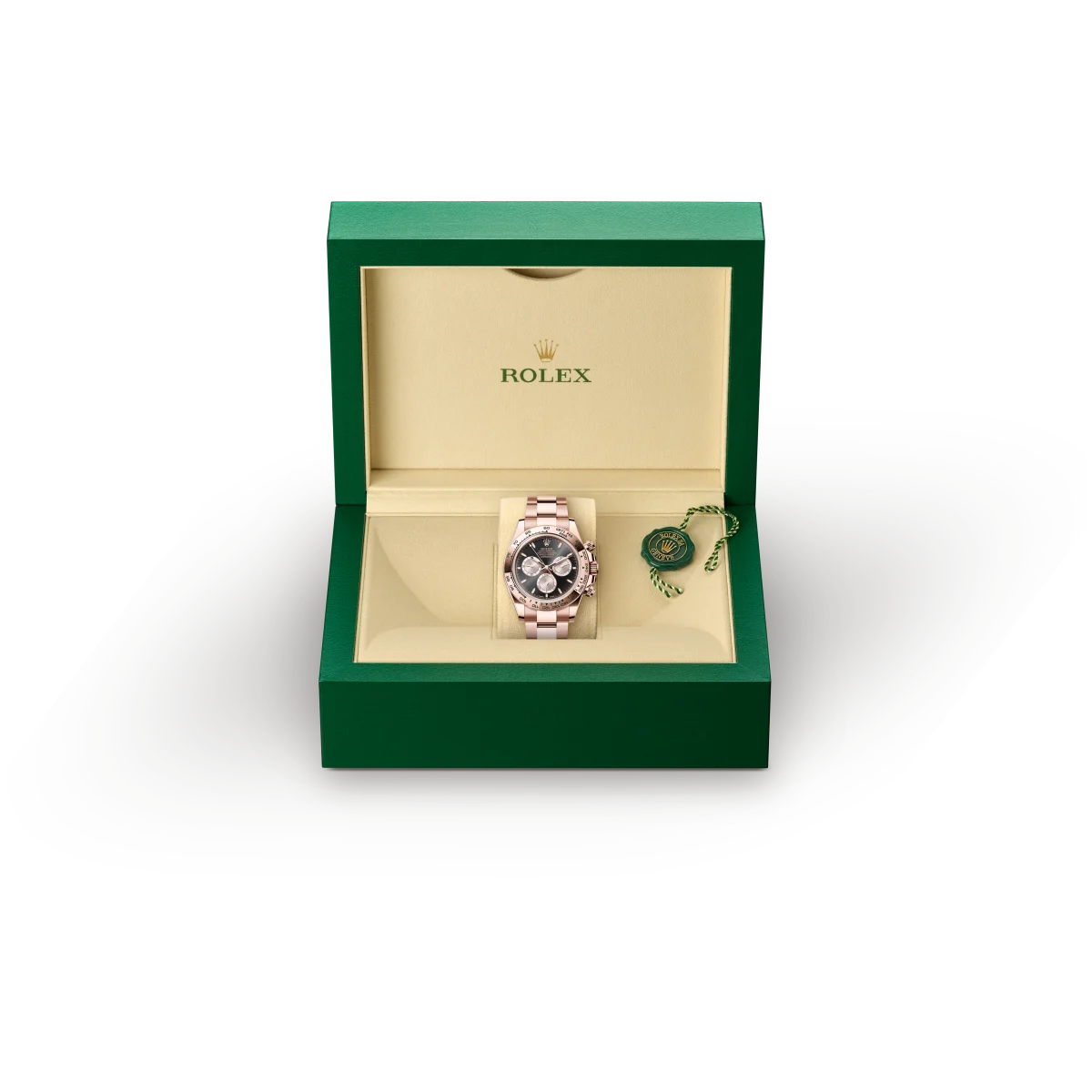 Rolex Cosmograph Daytona m126505-0001 caja presentación