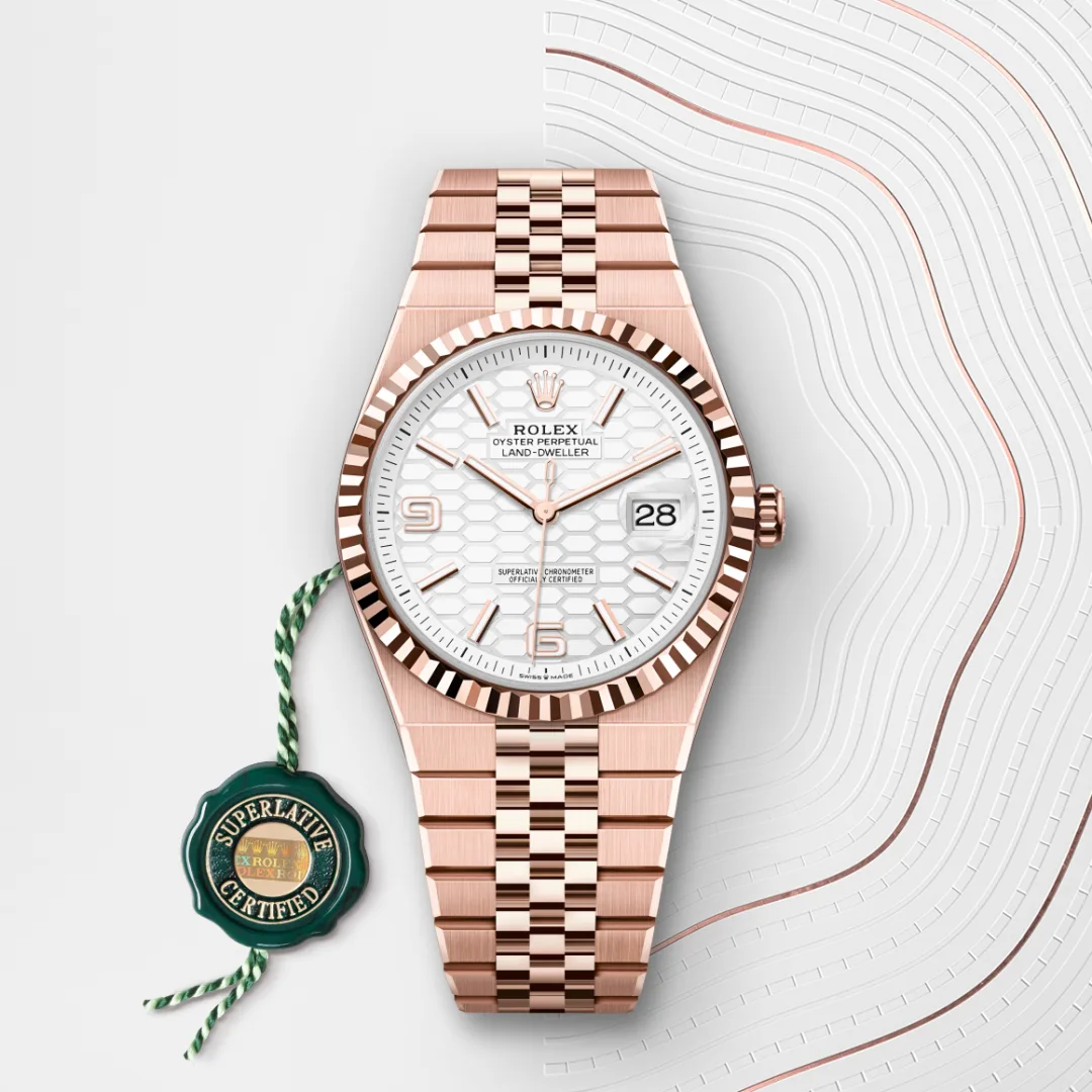 Rolex Land-Dweller m127335-0001 reloj galeria
